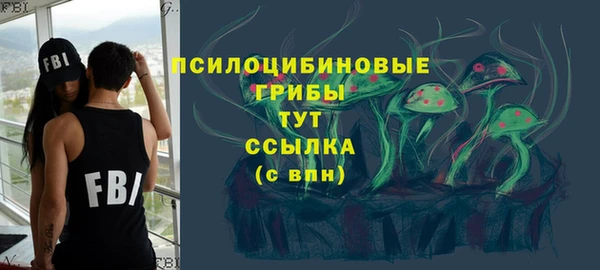 прущие грибы Алексеевка