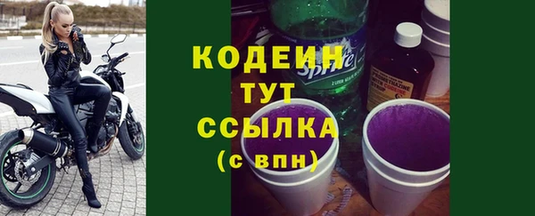 прущий лед Алзамай
