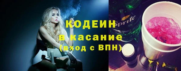 прущий лед Алзамай