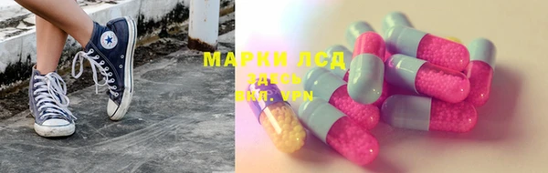 прущие грибы Алексеевка