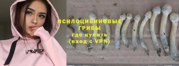 прущие грибы Алексеевка