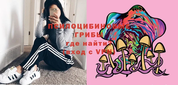 прущие грибы Алексеевка