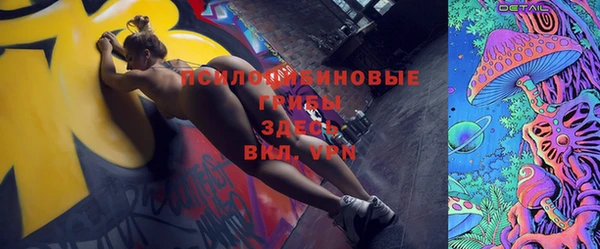 прущие грибы Алексеевка