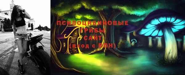 прущий лед Алзамай